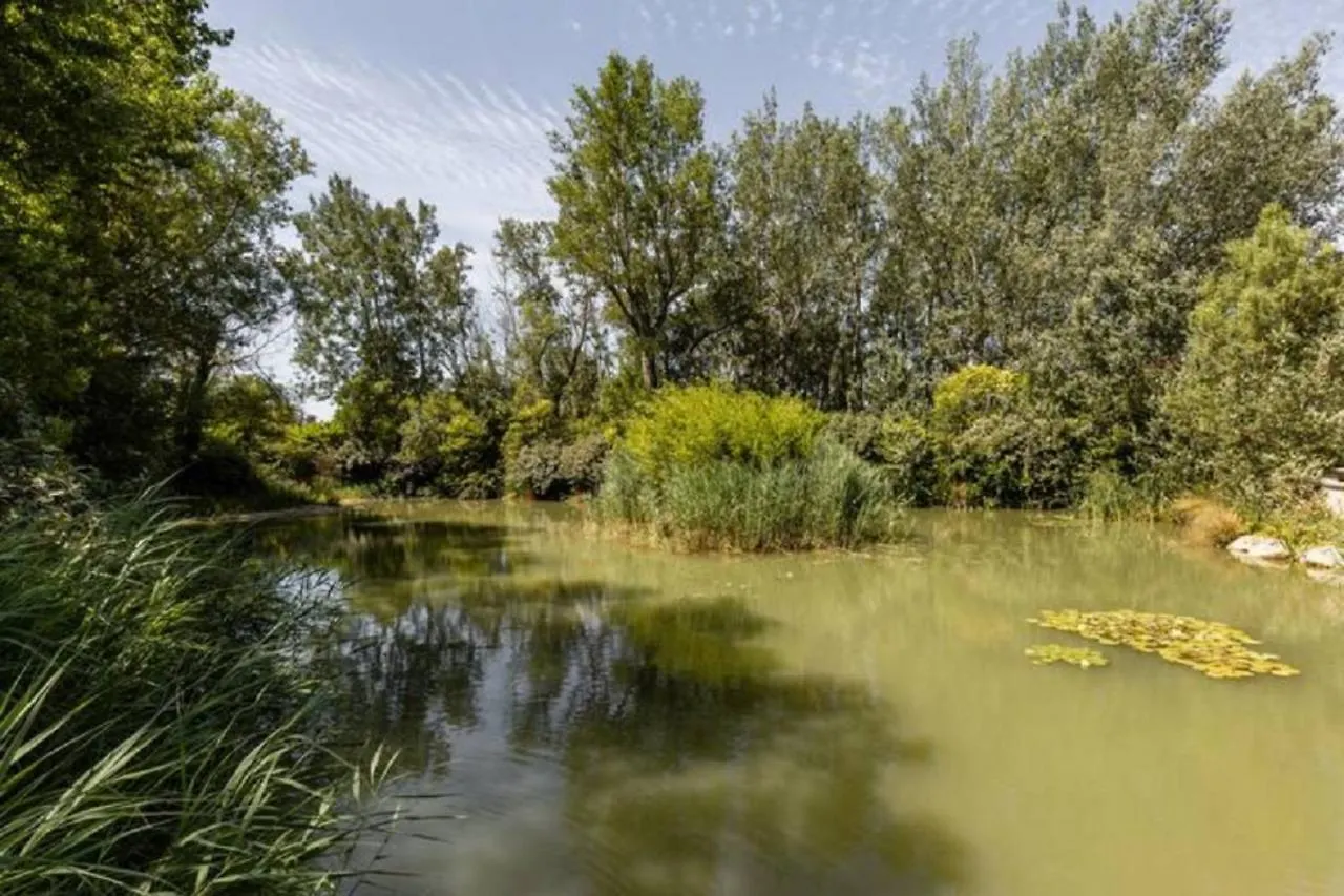 Appartamento La Bastide De L Etang LʼIsle-sur-la-Sorgue Francia